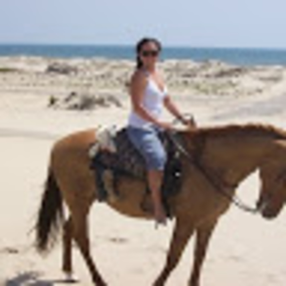 Meet your Posher, Dannondawson